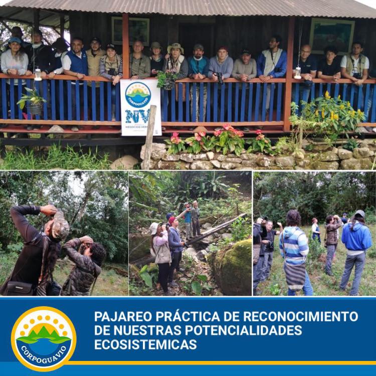 noticia