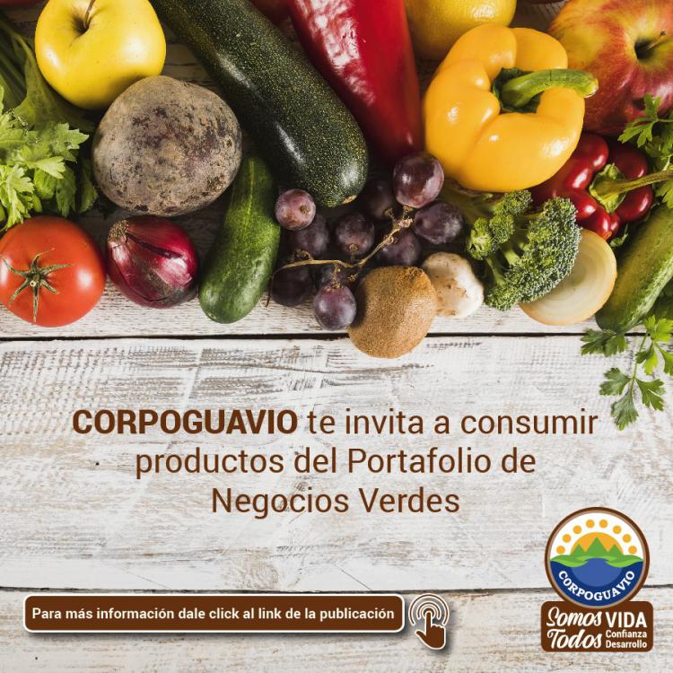 noticia