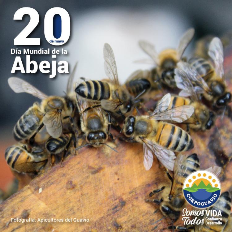 noticia