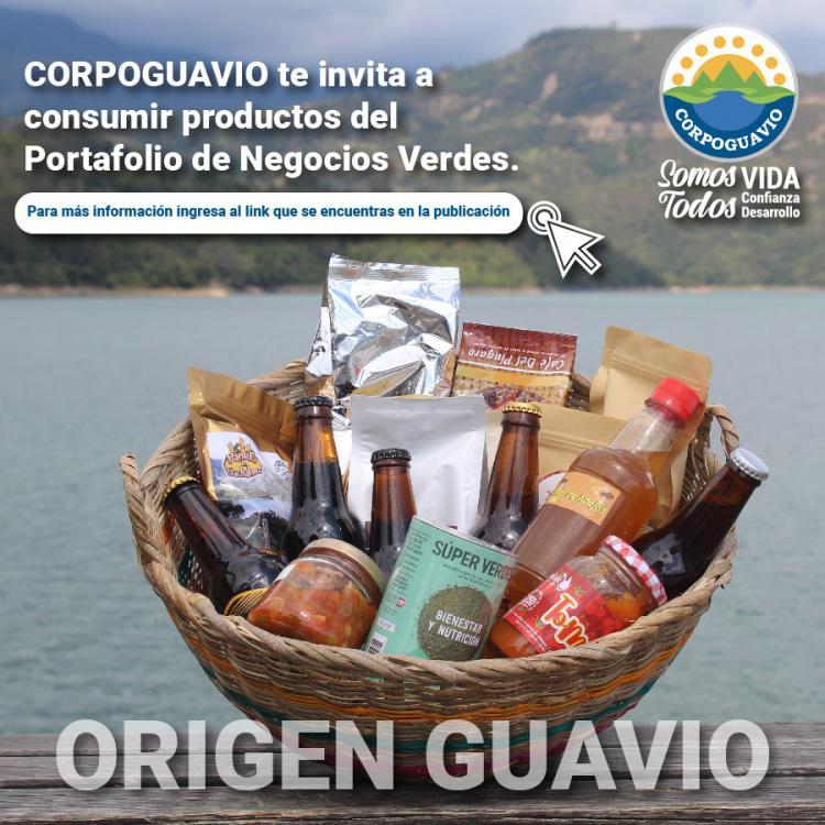 noticia