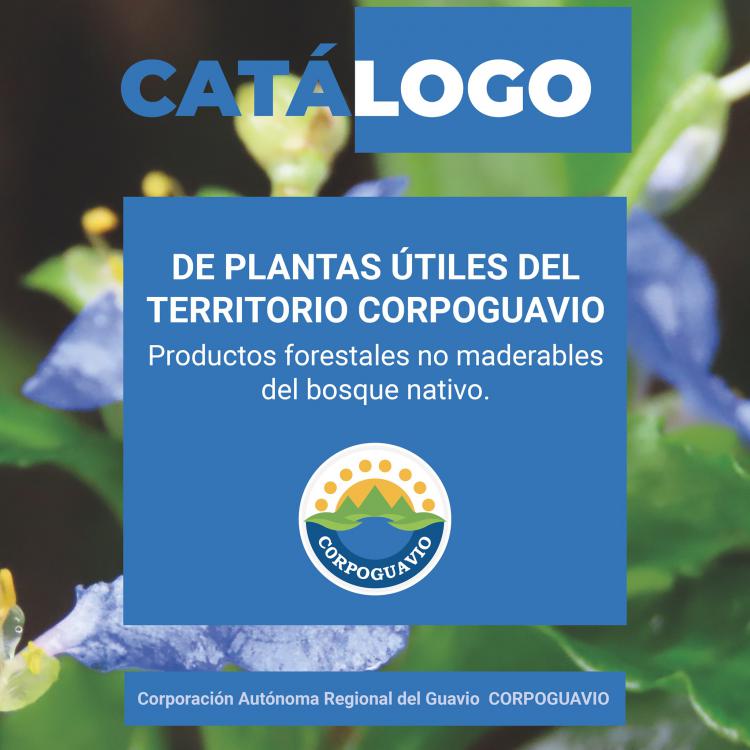 noticia