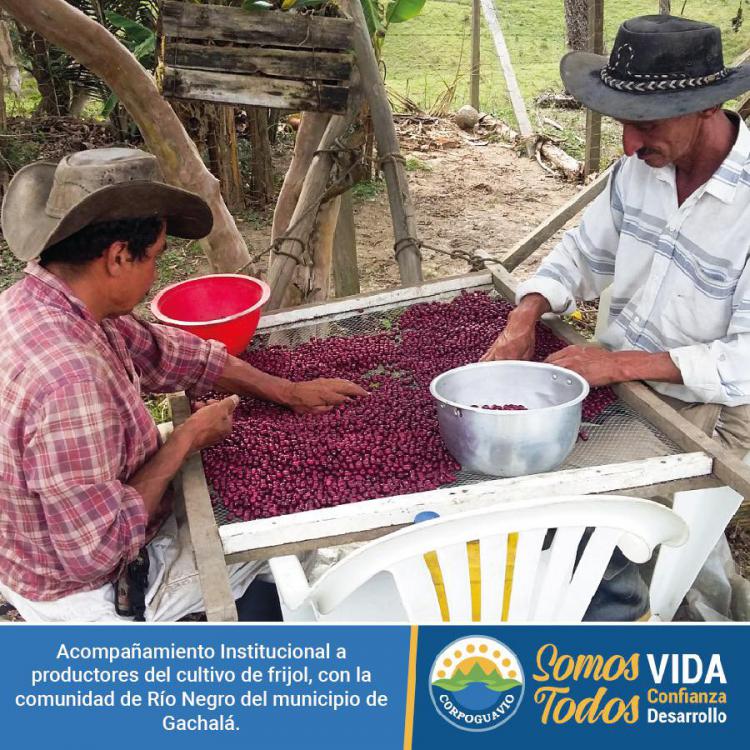 noticia