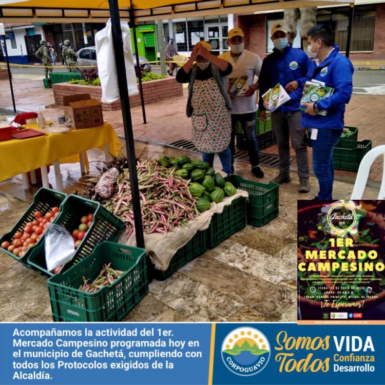 noticia
