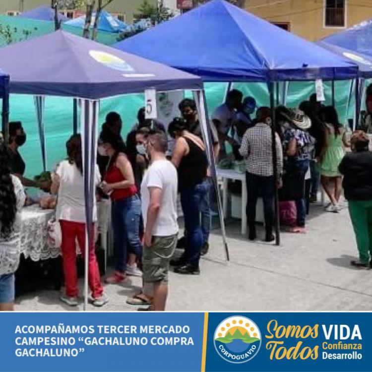 noticia