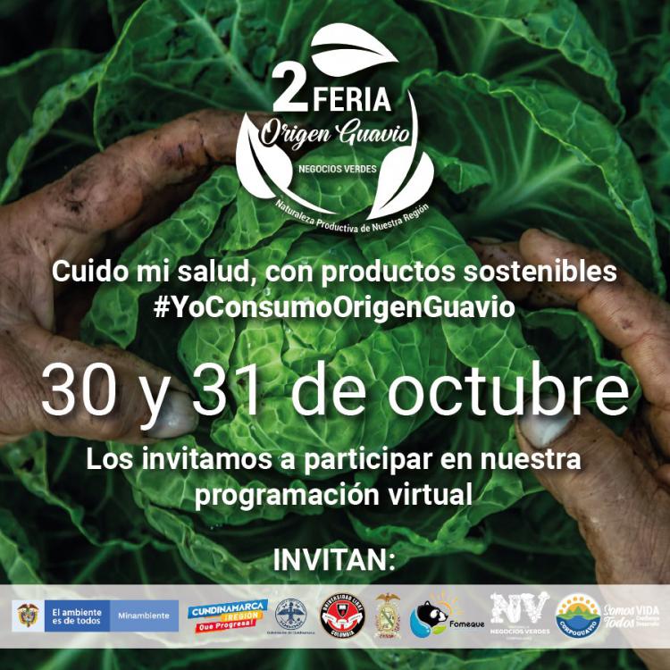 noticia