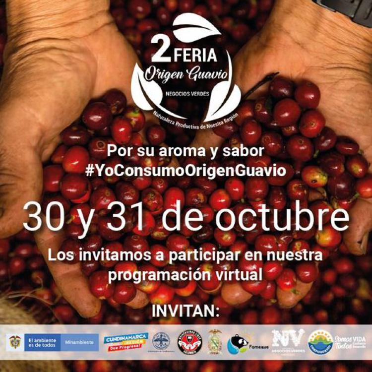 noticia