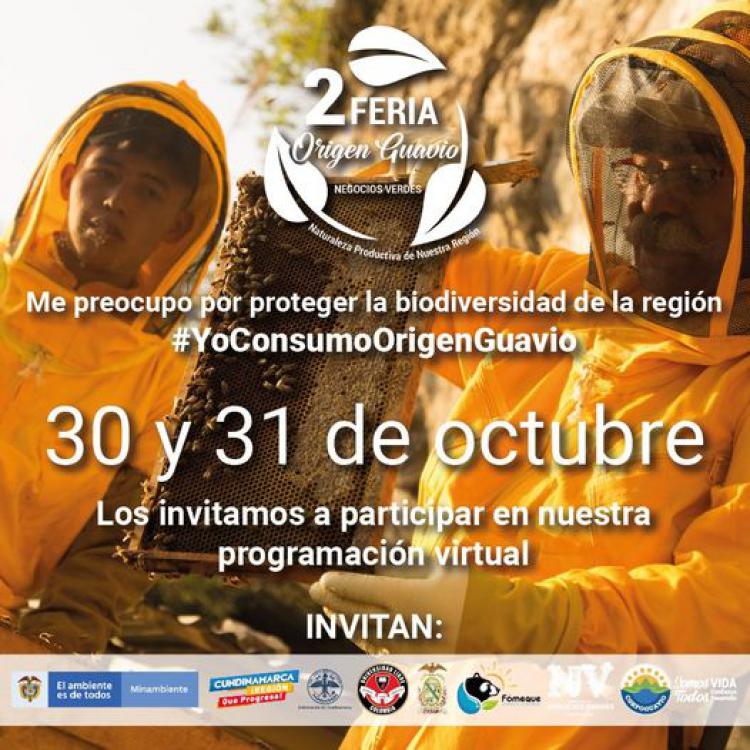 noticia