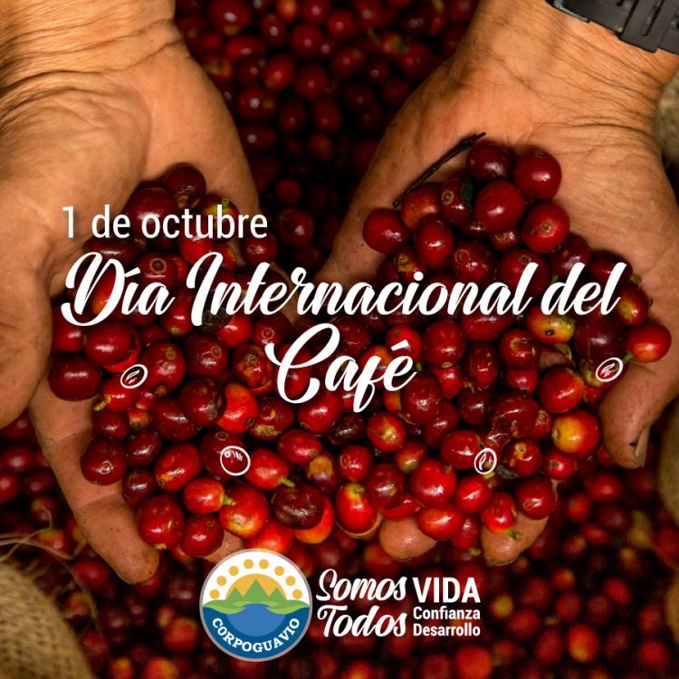 noticia