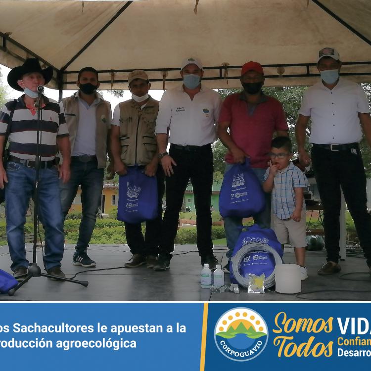 noticia