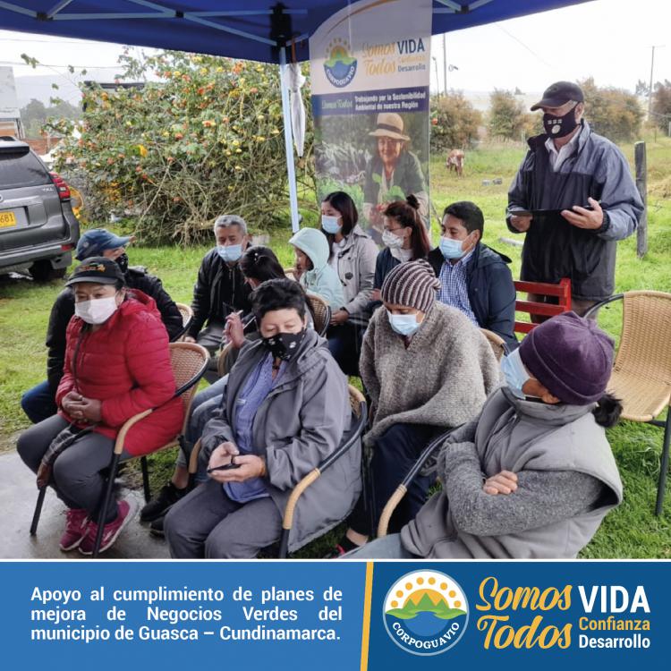 noticia