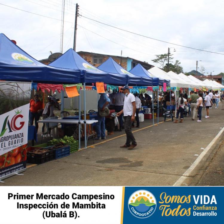 noticia