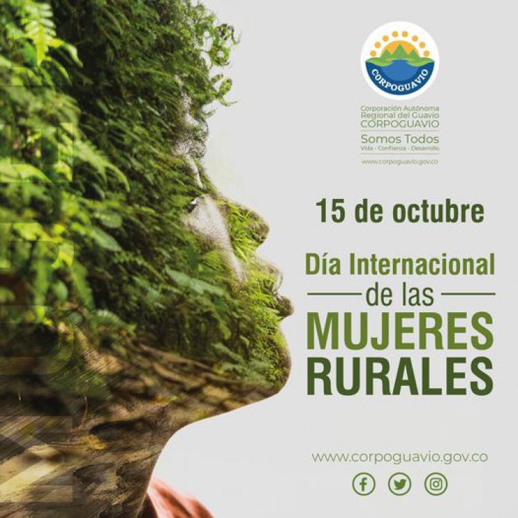 noticia
