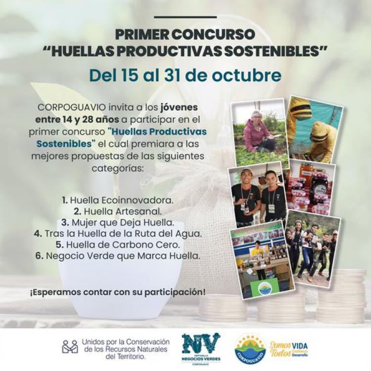 noticia
