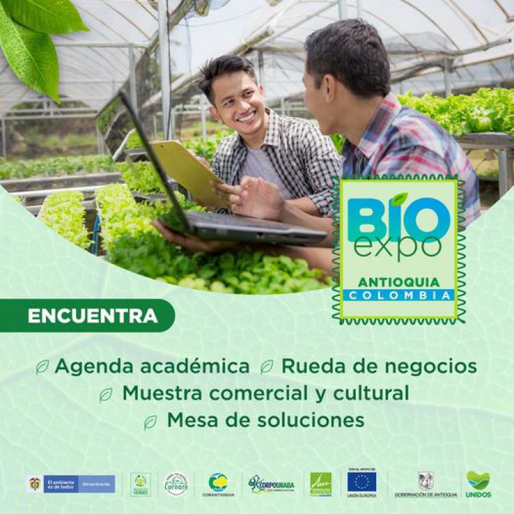 noticia