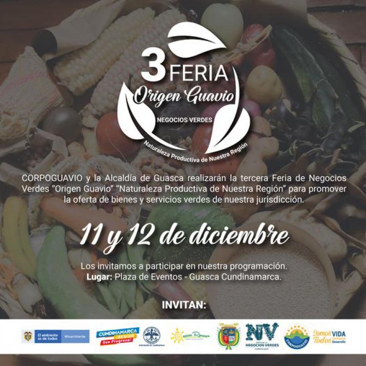 noticia