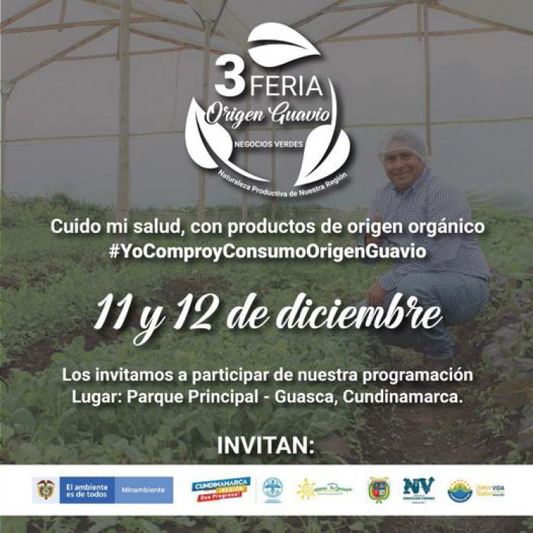 noticia