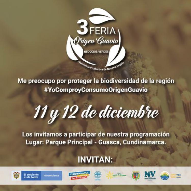 noticia