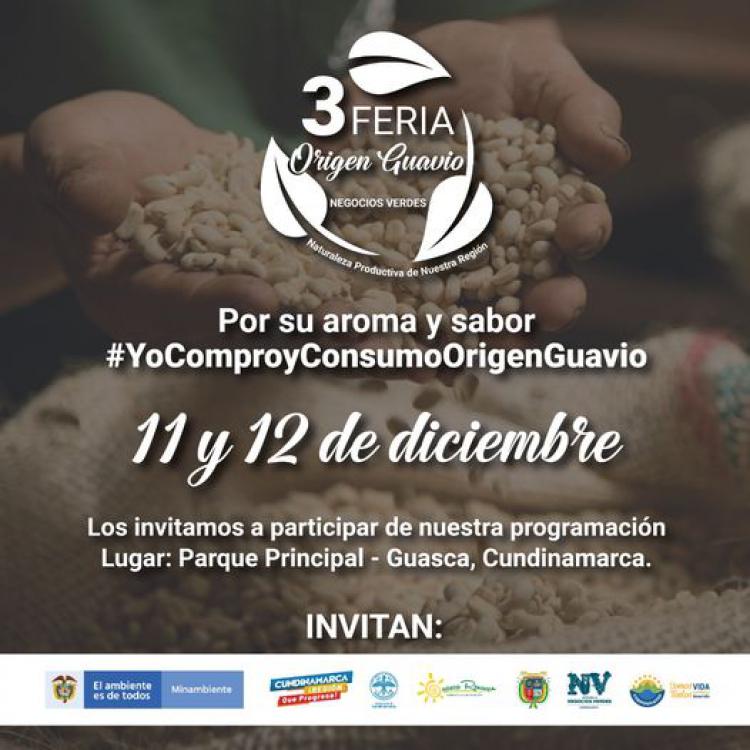 noticia