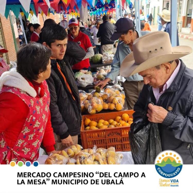 noticia
