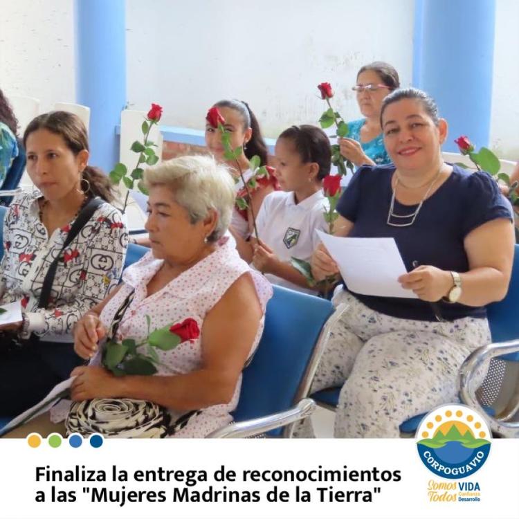 noticia