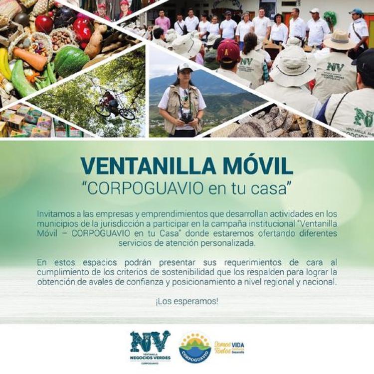 noticia