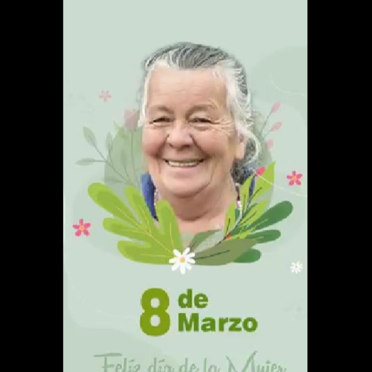 noticia