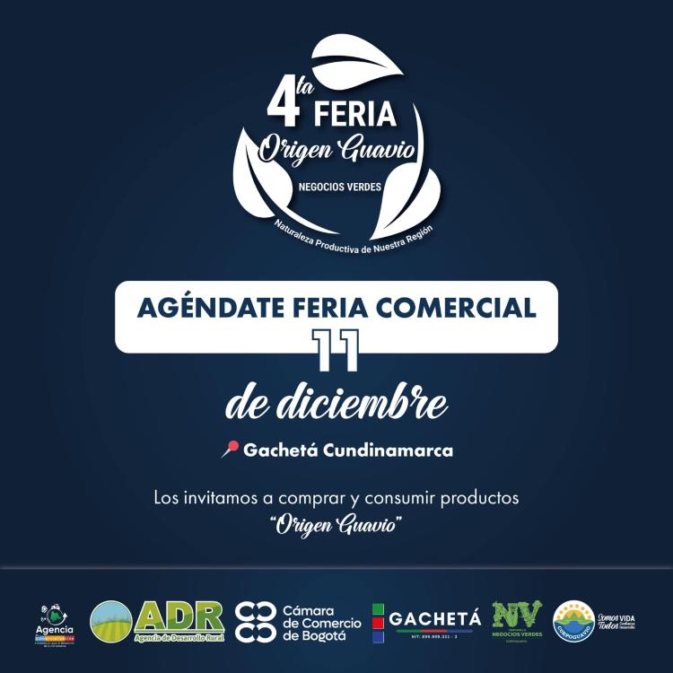 noticia