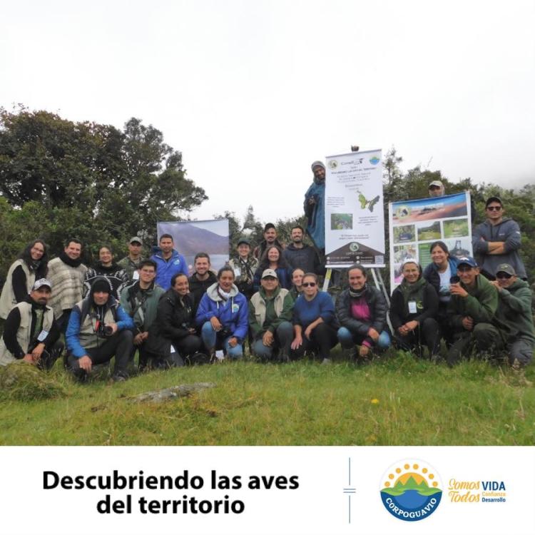 noticia