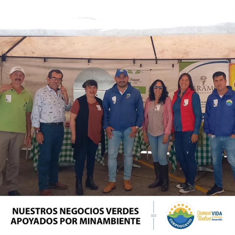 noticia