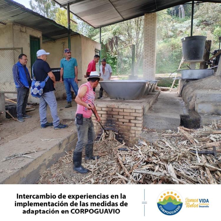 noticia