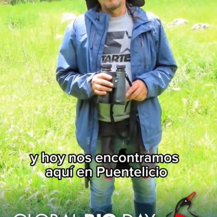 Noticias
