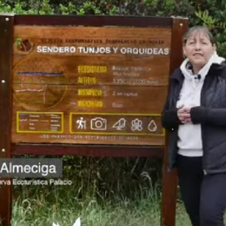 noticia