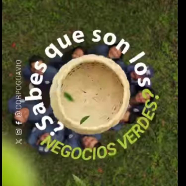 noticia