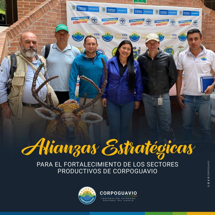 noticia