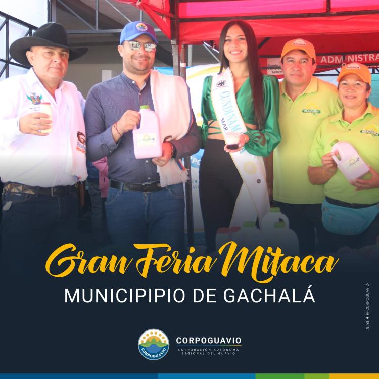noticia