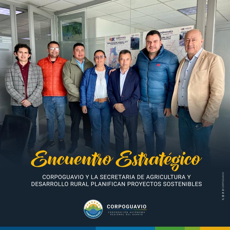 noticia