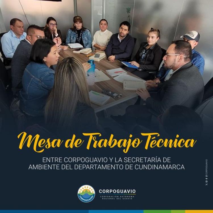 noticia