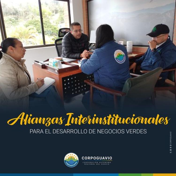 noticia