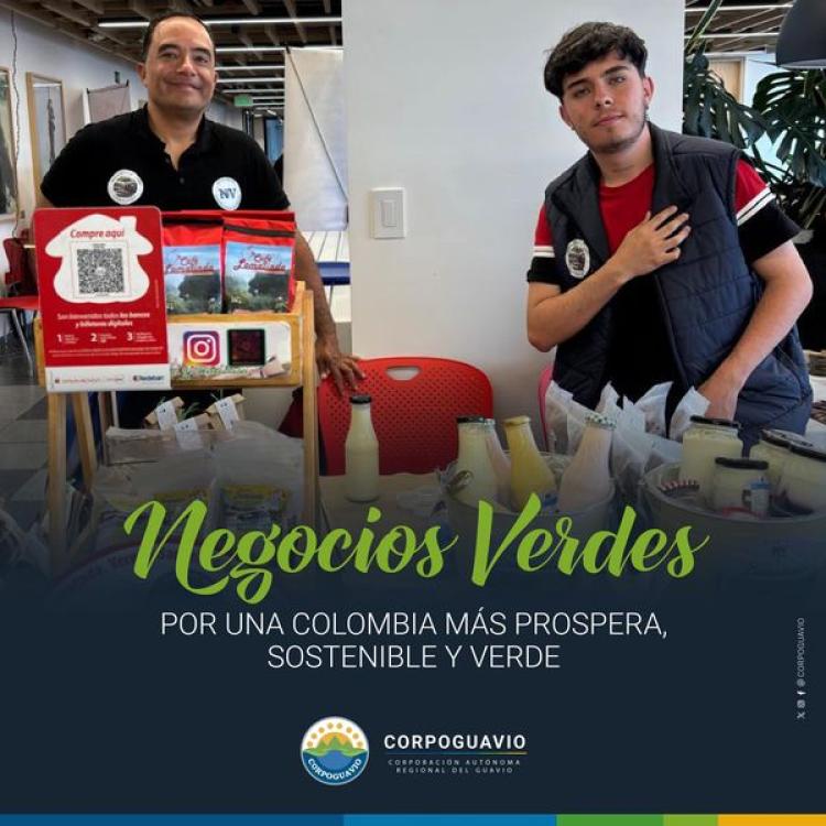 noticia