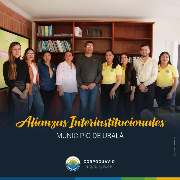 noticia