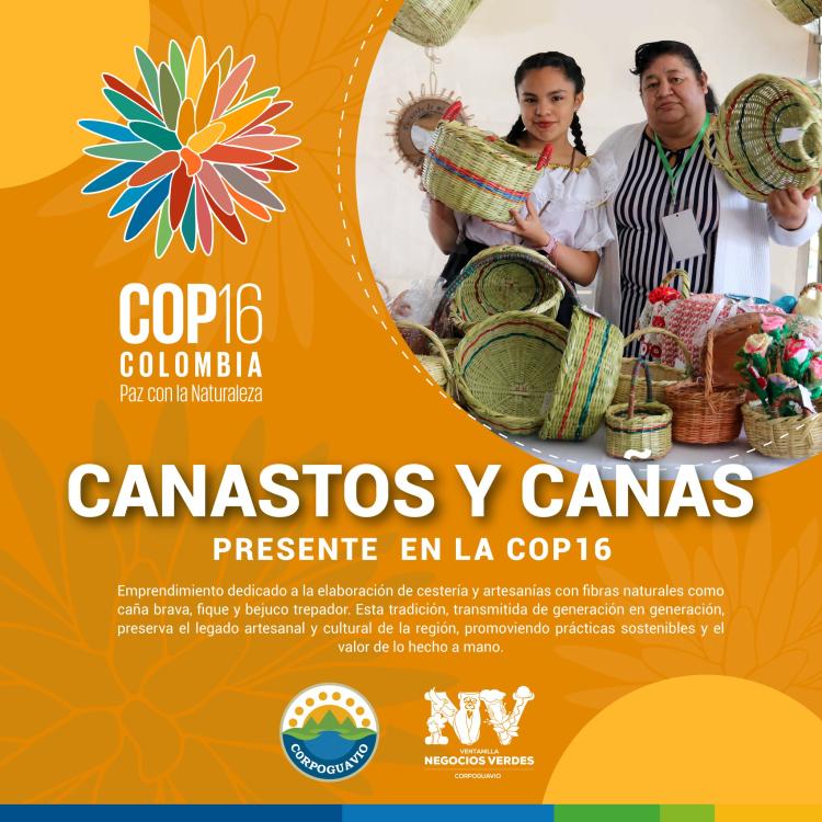 noticia
