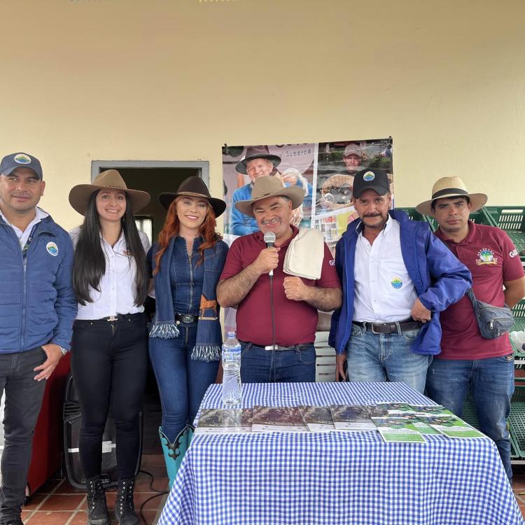 noticia