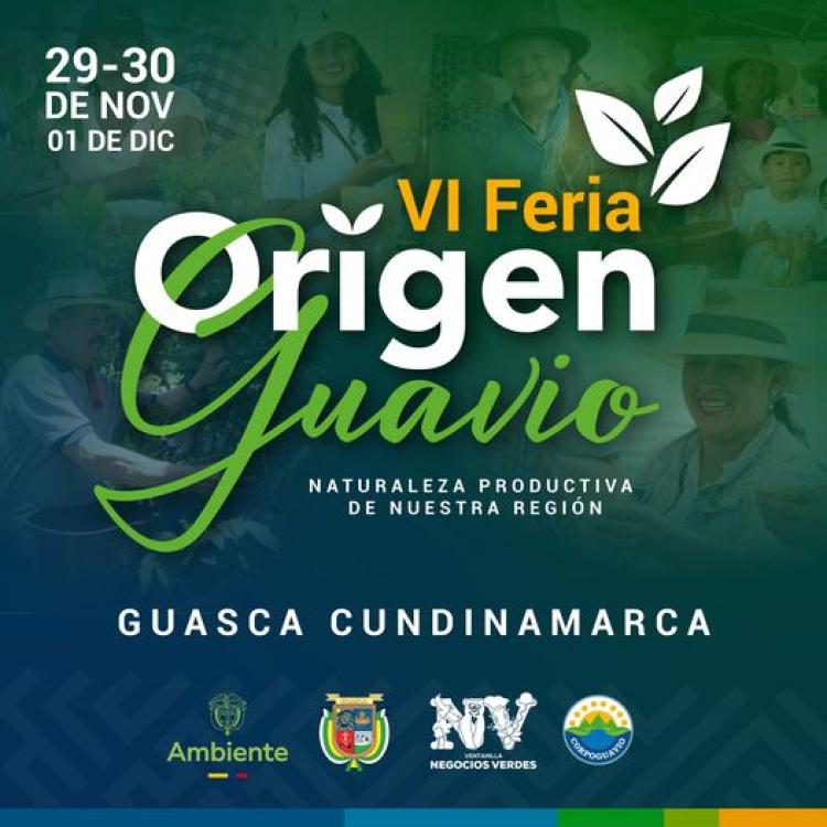 noticia