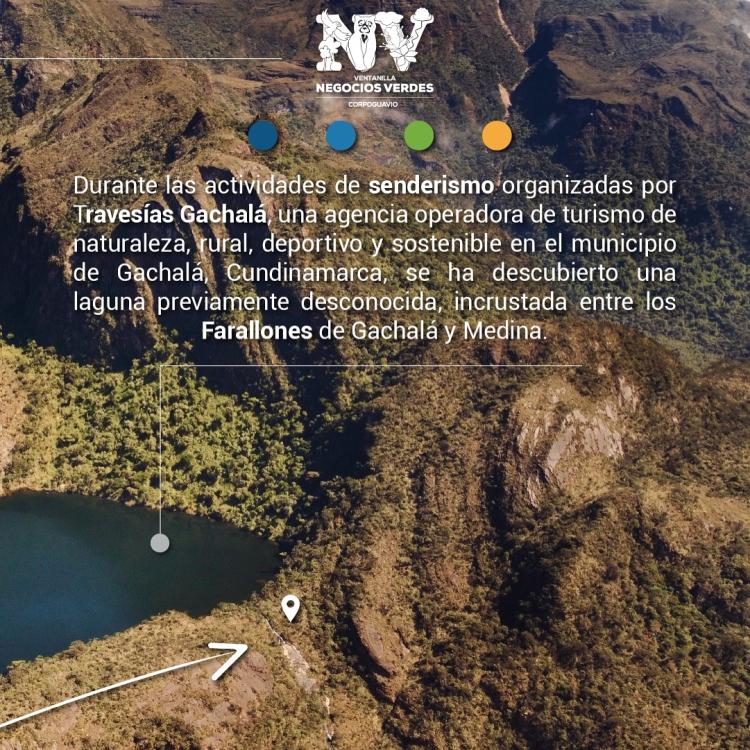 noticia