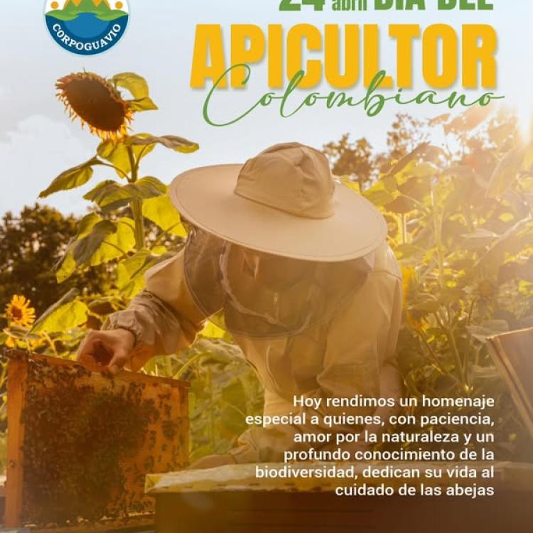 noticia